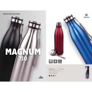 Stainless Steel and BPA-Free Sports Water Bottle (750 ml)