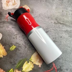 Stainless steel Aquabot Water bottle (750 ml)