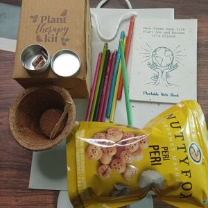 Natural plant based Corporate gift bundle kit