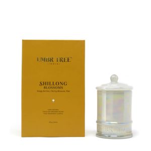 Soul of India Fine fragrance candles with beautiful white pearl finish glass jar (Regular)