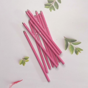 Eco Friendly Plantable Seed Pencils (Lady finger) I Return Gift for Kids