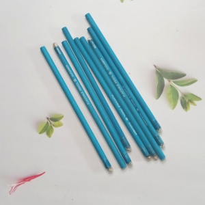 Eco Friendly Plantable Seed Pencils (Cucumber) I Return Gift for Kids