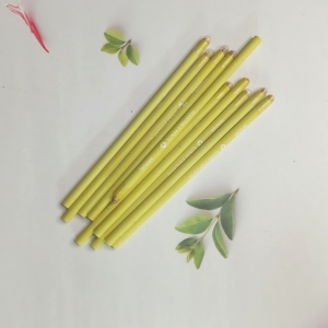 Eco Friendly Plantable Seed Pencils (Brinjal) I Return Gift for Kids