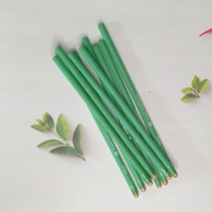 Recycled color Paper Plantable Seed Pencils (Chilli)