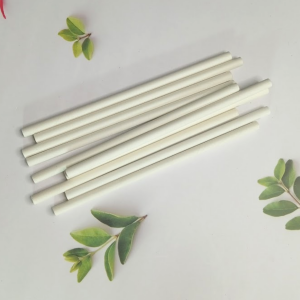 Ecofriendly Recycled Paper Pencils 