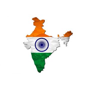 India shaped Plantable Seed Paper National Flag | Pocket Badge